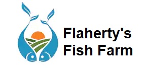 Flaherty's Fish Farm